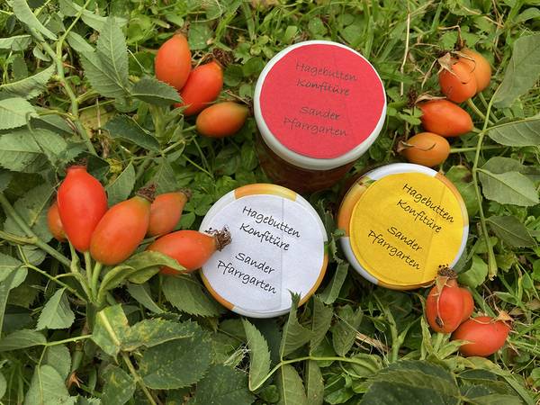 Hagebutten Konfitüre