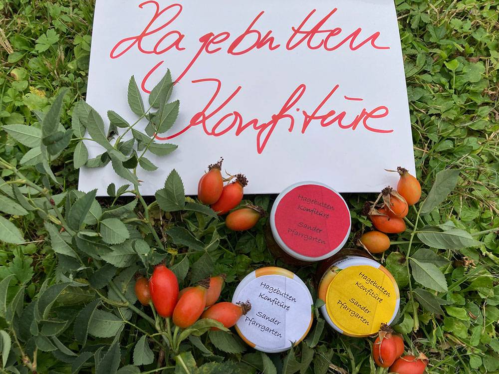 Hagebutten Konfitüre